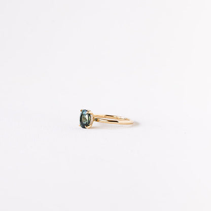 Sweet Romance (Teal)