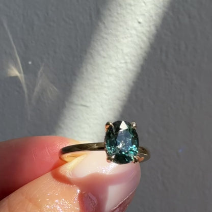 Sweet Romance (Teal)